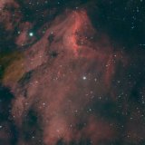 the Pelican Nebula